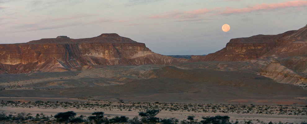הזמנות ומחירים